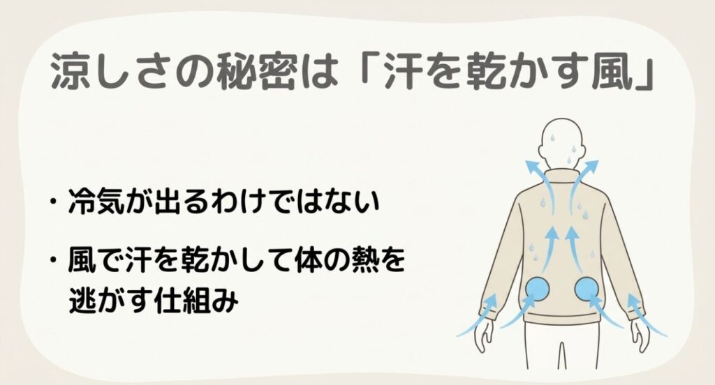 背面のファンから取り込まれた風が汗を乾かし、首元や袖から熱を逃がす仕組みの図解