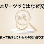 安さの秘密を解説したスマートバイヤーガイドの表紙