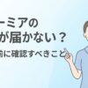 ヴェーミアの商品が届かない時に慌てる前に確認すべきポイントの解説