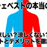 ワークマンペルチェベストの本当の評価とメリットデメリット